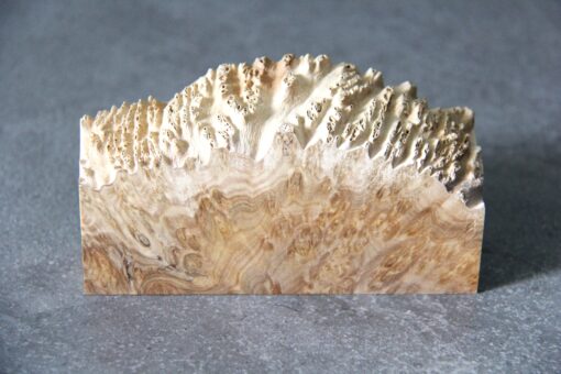 Stabilised Yorrel Burl Wood - Image 2