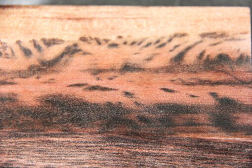 Stabilised Tasmanian Tiger Myrtle Wood - Image 3